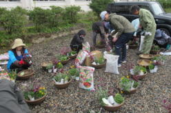 �����񍐎ʐ^