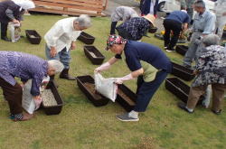 �����񍐎ʐ^