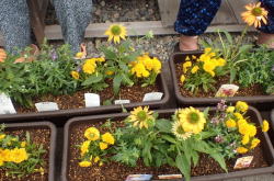 �����񍐎ʐ^