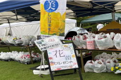 �����񍐎ʐ^