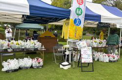 �����񍐎ʐ^